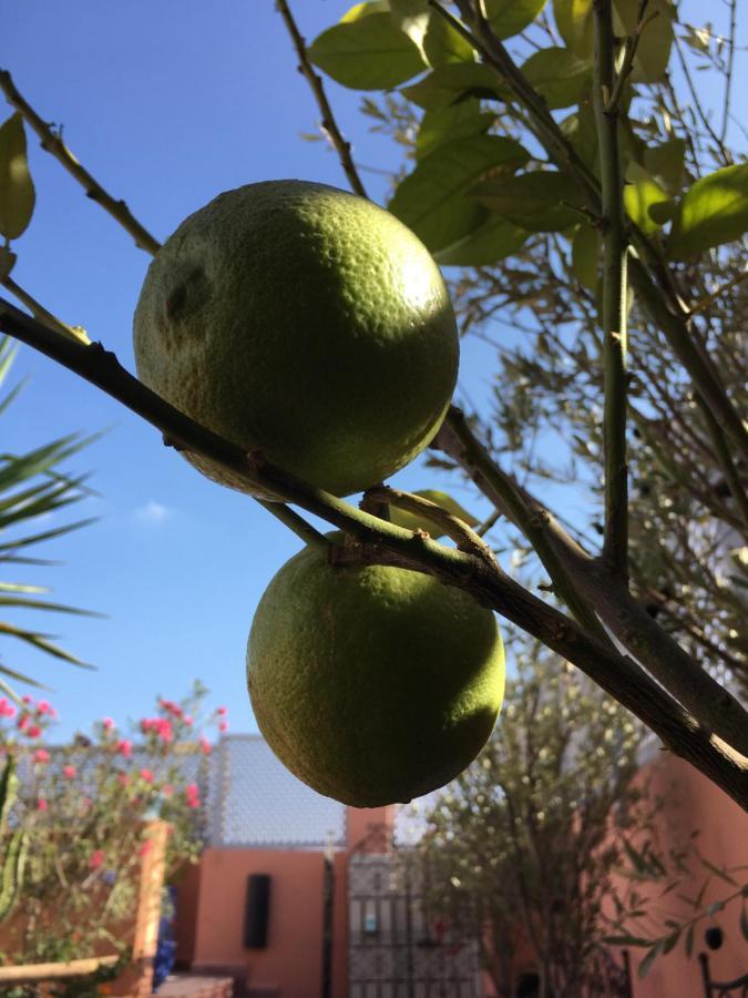 מרקש Riad Dar Kasal מראה חיצוני תמונה